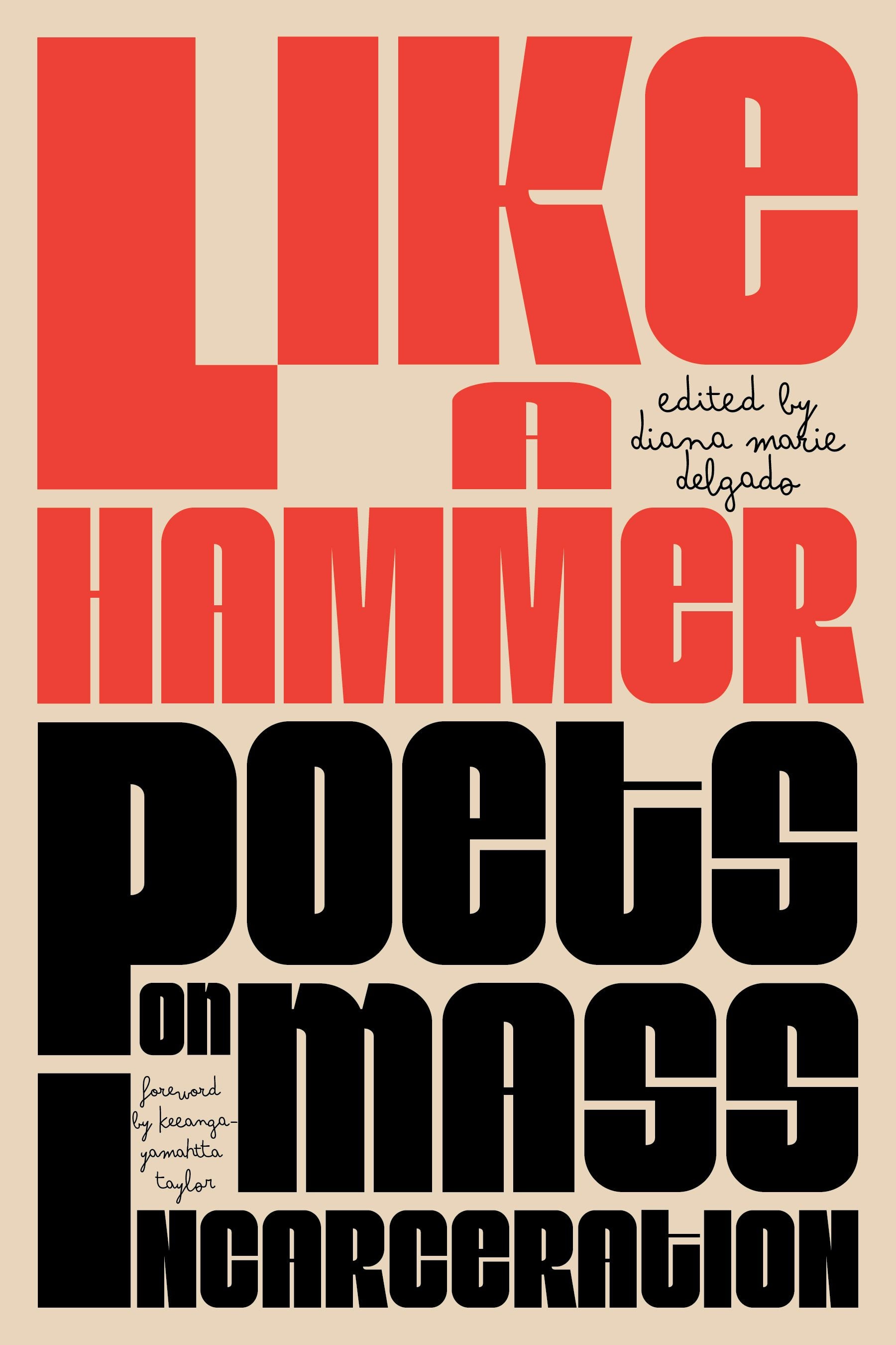 Book cover image for Like a Hammer ISBN: 9798888904466